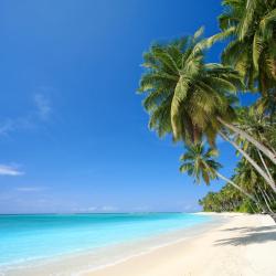 Hawaii Accommodation Singapore