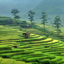 Ha Giang Accommodation Singapore
