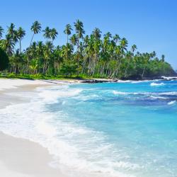Savaii Accommodation Singapore